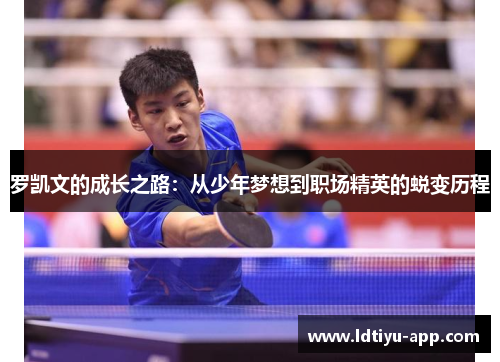 罗凯文的成长之路：从少年梦想到职场精英的蜕变历程